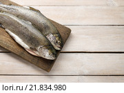 Two rainbow trouts on rustic wooden table, copy space. Стоковое фото, агентство BE&W Photo / Фотобанк Лори