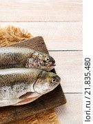 Two rainbow trouts on rustic wooden table. Healthy food. Стоковое фото, агентство BE&W Photo / Фотобанк Лори