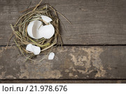 chick in a nest. Стоковое фото, фотограф Типляшина Евгения / Фотобанк Лори