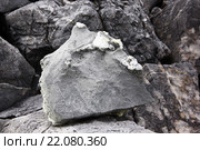 Выветрелый известняк с желваками кварца. Стоковое фото, фотограф Александр Алексеевич Миронов / Фотобанк Лори