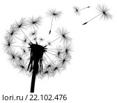 Одуванчик на белом фоне. Стоковая иллюстрация, иллюстратор Мастепанов Павел / Фотобанк Лори