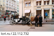 Двое мужчин у конного экипажа в центре Вены, Австрия (2016 год). Редакционное фото, фотограф Валерия Попова / Фотобанк Лори