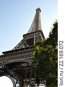 Эйфелева башня (la Tour Eiffel), вид с Марсова поля (Champ de Mars), Париж, Франция (2013 год). Стоковое фото, фотограф Дарья Кравченко / Фотобанк Лори