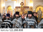 Литургия Преждеосвященных Даров в Трехсвятительском храме Коломенской духовной семинарии (2016 год). Редакционное фото, фотограф Дмитрий Неумоин / Фотобанк Лори
