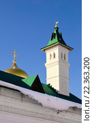 Город Дмитров. Борисоглебский монастырь. Дымник на печную трубу (2016 год). Стоковое фото, фотограф Зобков Юрий / Фотобанк Лори