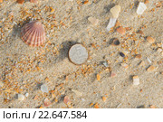 Ржавая пятикопеечная монета лежит на песке на морском пляже. Стоковое фото, фотограф Иванов Алексей / Фотобанк Лори