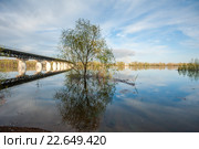 Паводок на реке Ахтуба у Среднеахтубинского моста. Стоковое фото, фотограф Матвей Солодовников / Фотобанк Лори