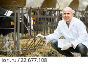 Veterinarian with calves in livestock farm. Стоковое фото, фотограф Яков Филимонов / Фотобанк Лори