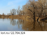 Полноводный Тобол. Стоковое фото, фотограф Анатолий Матвейчук / Фотобанк Лори
