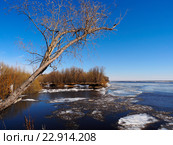 Ледоход на реке Уса, правом притоке Печоры. Усинск, Коми (2016 год). Стоковое фото, фотограф Сергей Гаврилов / Фотобанк Лори