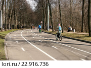 Весна в парке. Велосипедная дорожка в парке "Сокольники" (2016 год). Редакционное фото, фотограф Щеголева Ольга / Фотобанк Лори