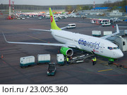 Погрузка багажа в самолет Boeing 737 Next Gen (VQ-BKW ) авиакомпании S7 Siberia Airlines в аэроппорту Домодедово (2016 год). Редакционное фото, фотограф Виктор Карасев / Фотобанк Лори