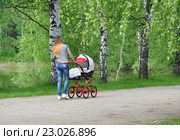 Молодая мама с коляской на прогулке. Стоковое фото, фотограф Ирина Быстрова / Фотобанк Лори