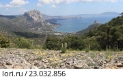 Весенние цветы на склоне горы Караул-Оба, Крымские горы и поселок Новый Свет вдали (2016 год). Стоковое видео, видеограф Яна Королёва / Фотобанк Лори