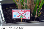Табличка с надписью "Берегите природу" воткнута в землю в цветочном горшке с растением (2016 год). Редакционное фото, фотограф Александр Замараев / Фотобанк Лори