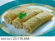 Baked Chicken Taquitos. Стоковое фото, фотограф Александр Fanfo / Фотобанк Лори