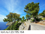 Горная дорога вдоль моря около деревни Sa Calobra на острове Майорка, Испания (2016 год). Стоковое фото, фотограф Bala-Kate / Фотобанк Лори