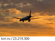 Самолет Airbus A320-214  (VQ-BDM) авиакомпании Ural Airlines улетает в закатное небо (2016 год). Редакционное фото, фотограф Виктор Карасев / Фотобанк Лори