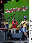 Выступление группы «Мамульки бенд» на Доброфесте (2016 год). Редакционное фото, фотограф Голованов Сергей / Фотобанк Лори