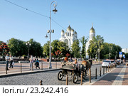Город Калининград (Кёнигсберг, нем. Königsberg). Виды города (2015 год). Редакционное фото, фотограф stargal / Фотобанк Лори