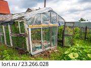 Старая теплица для выращивания овощей на дачном участке. Стоковое фото, фотограф Евгений Мухортов / Фотобанк Лори
