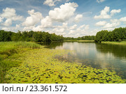 Летний пейзаж с рекой. Стоковое фото, фотограф Сергей Овчинников / Фотобанк Лори