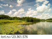 Летний пейзаж с рекой. Стоковое фото, фотограф Сергей Овчинников / Фотобанк Лори