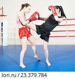 Muay thai woman fighting at boxing ring. Стоковое фото, фотограф Дмитрий Калиновский / Фотобанк Лори