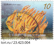 Коралы Красного моря Ellisella robusta на почтовой марке Тайваня, 2001 год. Стоковая иллюстрация, иллюстратор Илюхина Наталья / Фотобанк Лори