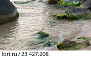 Красивое мелководное море и скалы. Стоковое фото, фотограф Шабанов Дмитрий / Фотобанк Лори