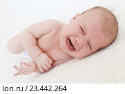 Плачущий маленький ребенок (2 месяца) Стоковое фото, фотограф ivolodina / Фотобанк Лори