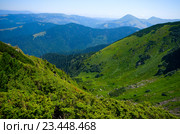 Летний пейзаж в горах. Карпаты, Украина. Стоковое фото, фотограф Владимир Сорокин / Фотобанк Лори