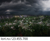 Туча. Дождь. Шторм. Осень. Стоковое фото, фотограф Дмитрий Третьяков / Фотобанк Лори
