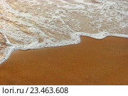 Пенистая волна тропического моря на пляже. Стоковое фото, фотограф Шабанов Дмитрий / Фотобанк Лори