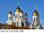 Купола храма Христа Спасителя. Калининград (до 1946 года Кёнигсберг), Россия (2012 год). Стоковое фото, фотограф Сергей Трофименко / Фотобанк Лори