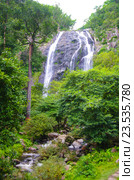 Jungle landscape with flowing water of Khlong Lan waterfall in Kamphaeng Phet province at deep tropical rain forest. Khlong Lan National Park, Thailand (2016 год). Стоковое фото, фотограф Natalia Sidorova / Фотобанк Лори