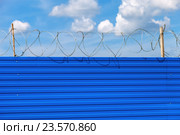 Barbed wire on the fence against a blue sky background. Restricted area. Стоковое фото, фотограф FotograFF / Фотобанк Лори
