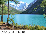 Большое Шавлинское озеро летом, Горный Алтай, Россия. Стоковое фото, фотограф Овчинникова Ирина / Фотобанк Лори