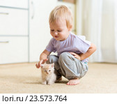 Toddler kid boy playing with kitten in children room. Стоковое фото, фотограф Оксана Кузьмина / Фотобанк Лори