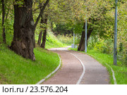 Велосипедная дорожка в парке. Стоковое фото, фотограф Юрий Губин / Фотобанк Лори