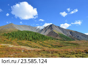 Россия, Республика Алтай, плато Ештыкёль в конце лета. Стоковое фото, фотограф Овчинникова Ирина / Фотобанк Лори