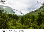 Алтай июль. Усть-Коксинский район. Облака над горами и лесом. Стоковое фото, фотограф Владимир Панкевич / Фотобанк Лори