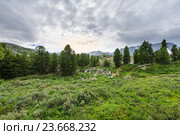 Алтай июль. Усть-Коксинский район. Облака над горами и лесом. Стоковое фото, фотограф Владимир Панкевич / Фотобанк Лори