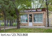 Магазин Краснодарского чая (2016 год). Редакционное фото, фотограф Юлия Ухина / Фотобанк Лори