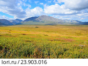 Россия, Республика Алтай, плато Ештыкёль в августе. Стоковое фото, фотограф Овчинникова Ирина / Фотобанк Лори