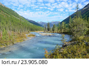 Россия, горный Алтай. Река Шавла летом. Стоковое фото, фотограф Овчинникова Ирина / Фотобанк Лори