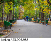 Осень. Опустевшая аллея парка. Стоковое фото, фотограф Леонид Ардаткин / Фотобанк Лори