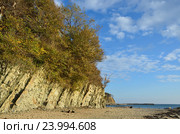 Краснодарский край, Туапсинский район, Джубга. Скалистые берега Черного моря, поросшие лесом. Стоковое фото, фотограф Овчинникова Ирина / Фотобанк Лори