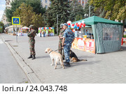 Полицейский на улице с собаками. Волгоград (2016 год). Редакционное фото, фотограф Владимир Арсентьев / Фотобанк Лори
