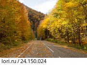 Листва на пустой автодороге. Стоковое фото, фотограф Юлия Ухина / Фотобанк Лори